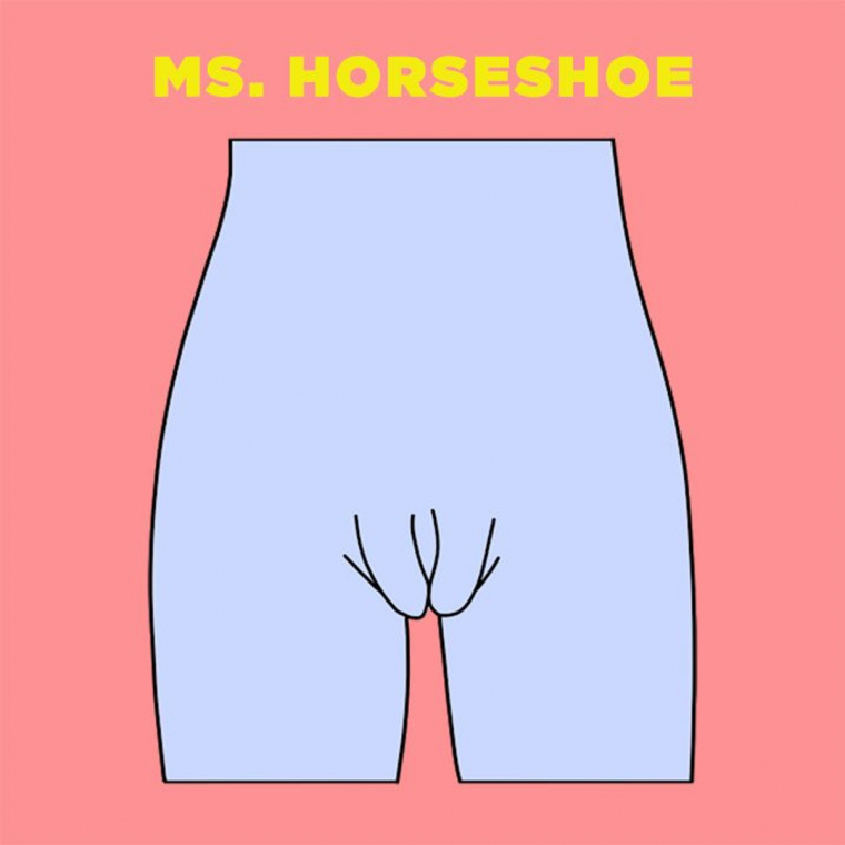 Ms-Horseshoe-vagina-illustration.jpg Ms-Horseshoe-vagina-illustration.jpg